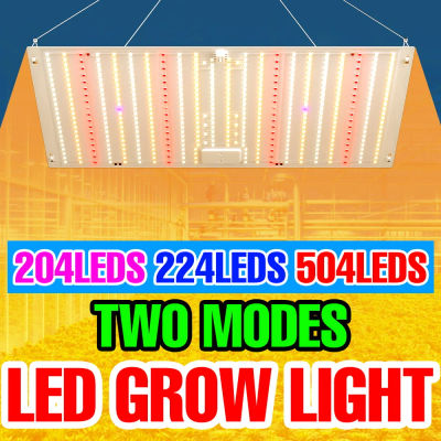 Tablero cuántico LED de espectro completo de 200W, luz de cultivo de plantas, semillas de flores, invernadero hidropónico interior, lámpara de cultivo de vegetales