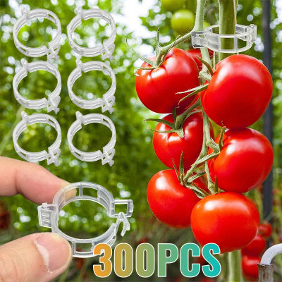 50-300 Uds Clips de soporte de plantas de plástico lazos de plástico reutilizables Clips de estaca de enrejado soporte de invernadero para accesorios de herramientas de jardín