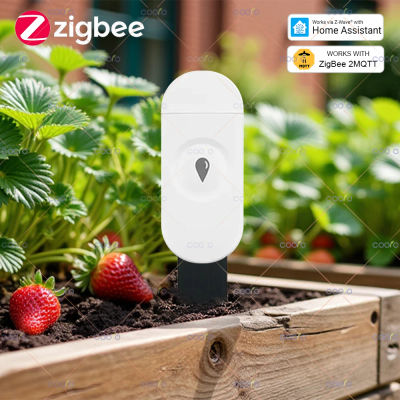 Probador inteligente de suelo Zigbee, Sensor de humedad y temperatura para plantas y jardín, funciona con asistente doméstico Zigbee2MQTT