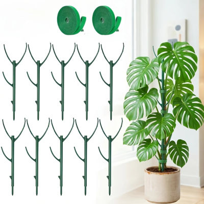 6 Estacas de Soporte para Plantas Monstera, Diseñadas para Apoyar Tallos de Plantas Trepadoras - Estacas de Jardín Duraderas Tipo Enrejado
