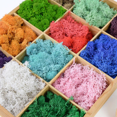 Plantas Verdes Artificiales de 20/40g, Musgo de Vida Eterna, Manualidades DIY, Decoración para el Hogar, Sala de Estar, Jardín, Mini Paisaje, Césped Artificial