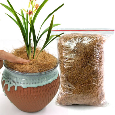 B cáscara de coco orgánica Natural de 50g-500g, fibra larga de cáscara de coco de seda para plantas, cubierta de olla, suelo, mantener el calor, ropa de cama para reptiles, Nido de Pájaro