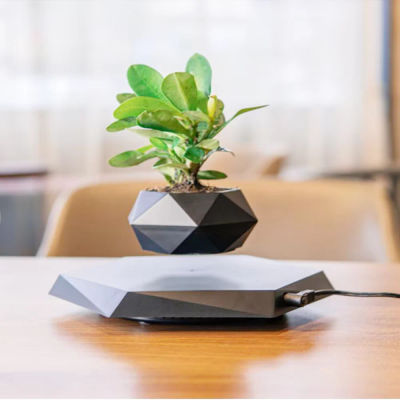 Maceta de bonsái de aire levitante, maceta con rotación, maceteros, suspensión magnética, maceta flotante, planta en maceta para el hogar sin plantas