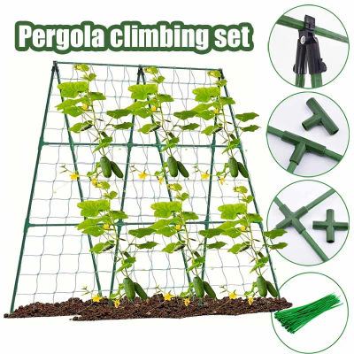 Kit de Soporte para Plantas Trepadoras, Soportes para Cultivo, Resistentes a la Oxidación, para Enredaderas, Pepinos, Tomates, Uvas, xs63-42-fro