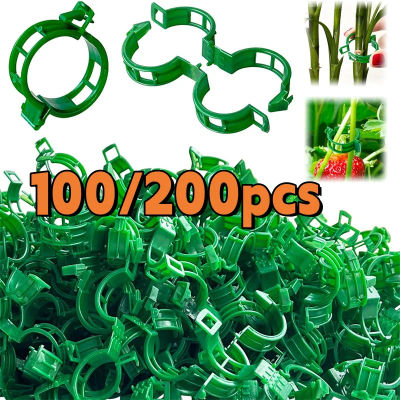 100/200 Clips de Soporte para Plantas, Clips de Plástico para Fijar Plantas Trepadoras, Tomates, Uvas, Tallos de Plantas