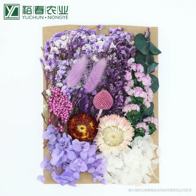 Set de Plantas Naturales Preservadas, Flores Reales, Material de Resina Epoxi, Velas Artesanales, Materiales Florales para Manualidades, Hortensias, Decoración de Bodas