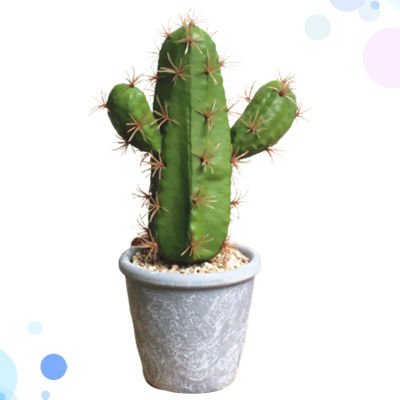 Cactus Artificial Bonsái Premium, Planta de Simulación para Decoración del Hogar u Oficina, Adorno de Planta Imitada, Decoración de Bonsái Simulado