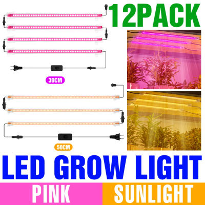 Luces LED para cultivo de plantas, lámpara de cultivo hidropónico de espectro completo para interiores, caja de crecimiento de plántulas de vegetales y flores suculentas, 220V