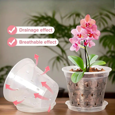 Maceta transparente para orquídeas, macetas de plástico para Control de raíces con agujeros, contenedor transpirable para crecimiento de plantas, suministros de jardín, regalo, 5 uds.