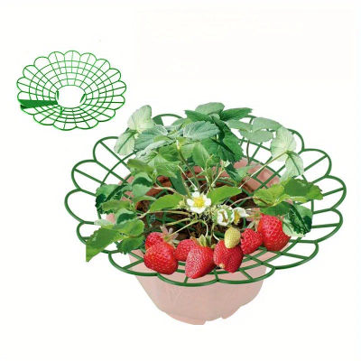 Soportes para plantas de fresa con tres patas resistentes, que brindan protección para las fresas contra el moho, la putrefacción y la suciedad, 5/10 unidades