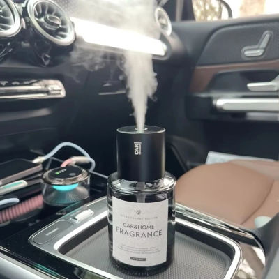 Pulverizador de nanomaterapia inteligente para coche, contenedor de Perfume de 160ml, encendido/apagado automático, apto para mamá y bebé, extractos de plantas saludables para vehículo