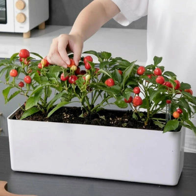 Maceta Grande Rectangular con Autorriego para Interiores y Exteriores, Contenedor Decorativo para Plantas con Indicador de Agua para Patio y Sala de Estar
