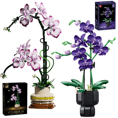 Orquídea creativa Cymbidium flores eternas planta en maceta bloques de construcción simulación Phalaenopsis DIY ladrillos juguetes regalo de San Valentín