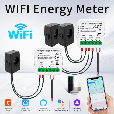 Tuya WiFi medidor inteligente de energía 1CH 2CH 80A transformador de corriente abrazadera Monitor sistema Solar fotovoltaico Monitor de consumo de producción de energía