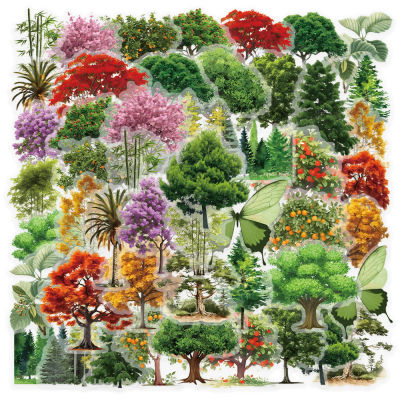 50 Uds. De pegatinas secretas de bosque para mascotas, pegatinas de paisaje de plantas de bosque Natural, decoración DIY para álbum de recortes, diario, ordenador portátil, parachoques