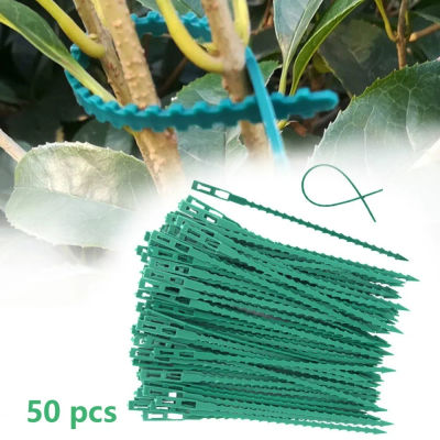 50 unidades de bridas ajustables de plástico reutilizables para plantas, soporte para árboles de jardín, enredaderas, tomates y tallos