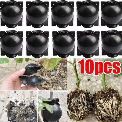 10 unidades de bolas de enraizamiento para plantas, caja de propagación reutilizable, caja para el crecimiento de raíces, macetas para injertos y propagación de plantas