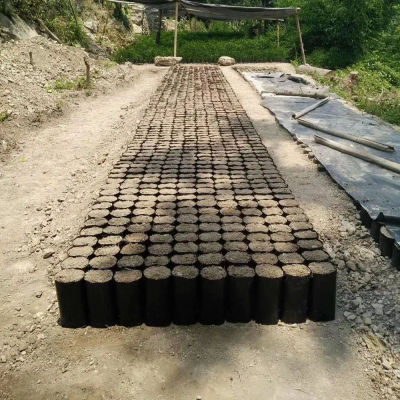 100 Bolsas de Cultivo para Plantas de Vivero, Bolsas de Plástico PE Negras para Cultivo de Plantas, Gruesas y Transpirables con Orificios de Ventilación