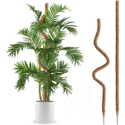 Planta de musgo, poste de fibra de coco, plantas flexibles, soporte de escalada, extensión de palmera, palo de vides, interior, balcón, jardín, patio, decoración de flores