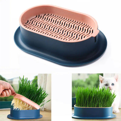 Plato de brotes para Gato, maceta para cultivo, planta hidropónica, olla para gato, caja de hierba, germinación, plato de iniciación para vivero, caja de cultivo de invernadero