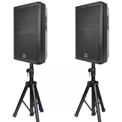 Altavoces de rango completo Altavoces profesionales con subwoofer pasivo para iglesia, fiesta de DJ profesional de 12 pulgadas