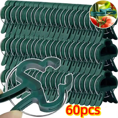 Clips fijos para plantas de jardín, Clip ajustable para tallo de plantas, para verduras, tomates, plantas trepadoras, rama, soporte de vid, 20-60 Uds.