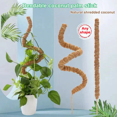 Postes de musgo para plantas Monstera, estacas flexibles para plantas trepadoras, soporte para plantas de interior, estacas de palo para plantas enrejado de jardín, 1 Uds.
