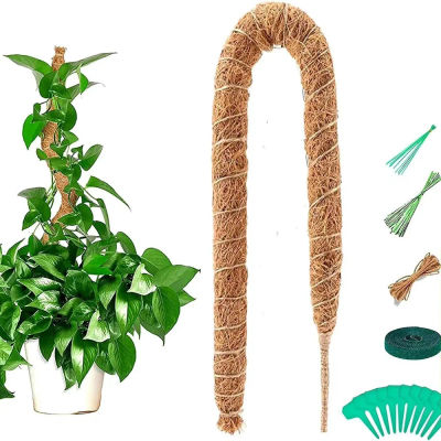 Varilla de Soporte para Plantas Trepadoras, Varilla de Coco para Plantas en Maceta, Varilla de Musgo para Plantas Trepadoras