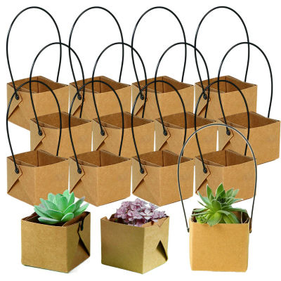 5 ~ 40 Uds Mini maceta de papel Kraft impermeable 6x5cm maceta de planta verde en miniatura para decoración de plantas suculentas TMZ