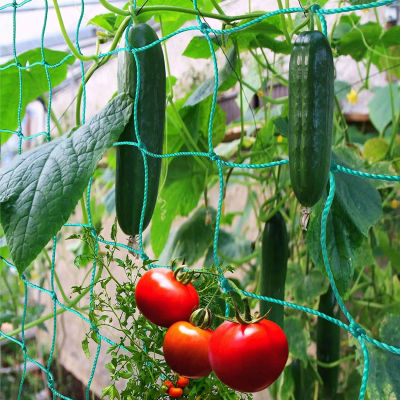 Malla de nailon gruesa para plantas, red de trepar resistente para jardín, malla de alta resistencia para pepinos, tomates, uvas, accesorios de jardinería