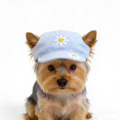 Gorra de mezclilla para perros con gafas de sol, accesorios de peluquería para mascotas, sombrero para cachorros pequeños y medianos, animales, gatos, Dachshund, Yorkshire, artículos.