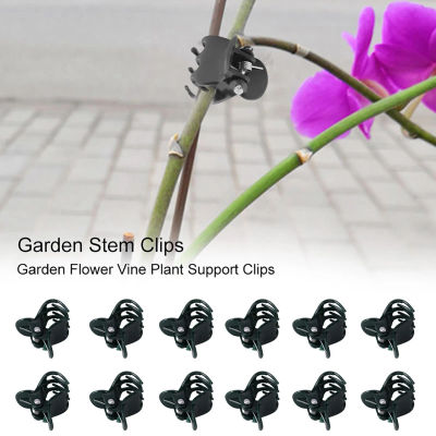 100 Uds Mini Clips para plantas soporte para plantas y flores de jardín para tallos de margaritas y orquídeas soporte para flores para crecer en buenas condiciones
