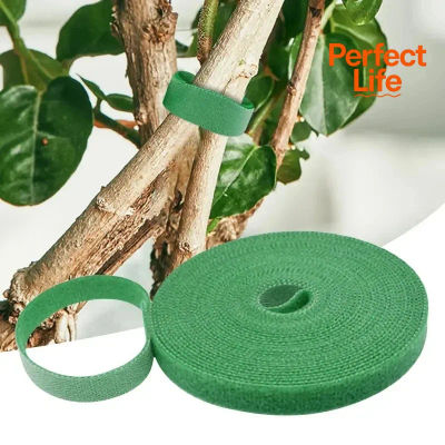 Lazos de nailon reutilizables para plantas, cinta de sujeción verde para envoltura de caña de bambú, soporte para accesorios de jardín y hogar, 1/2 Uds.