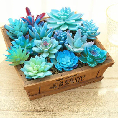 Plantas suculentas artificiales azules para decoración del jardín del hogar, plantas de boda, arreglo floral de pared, plantas falsas bonsái, 5 unidades por lote