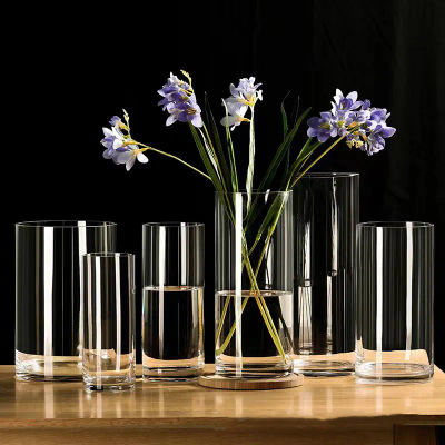 Plantas hidropónicas, florero de cristal de escritorio, florero de cristal, florero cilíndrico transparente, decoración del hogar de escritorio para dormitorio