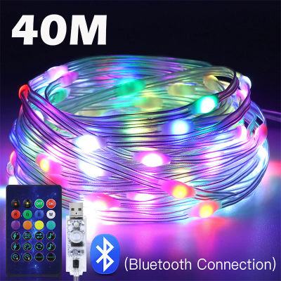 WS2812B guirnaldas de luces USB Bluetooth LED guirnaldas de luces Dreamcolor RGBIC fiesta luces de Navidad decoración de boda guirnalda