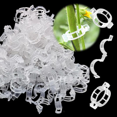 50-100 Uds Clips para tomates Clips para plantas enredaderas Clips de enrejado de plástico-Clips de soporte para plantas trepadoras pepinos pimientos verduras