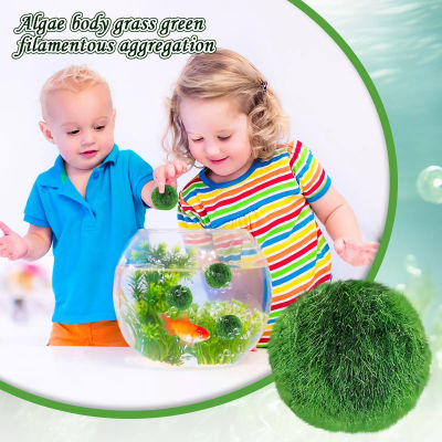 Bolas de musgo para pecera, 1/2/4/8 Uds., remojadas, decoración de acuario de 1-1,5 pulgadas, plantas artificiales, adornos de bolas de musgo verde