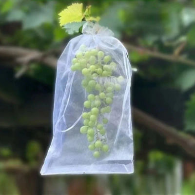 100 Uds. Bolsas de malla para cultivo de frutas y uvas, bolsas blancas transpirables para protección de plantas y verduras, cubierta de protección genérica para uvas, herramientas de jardín
