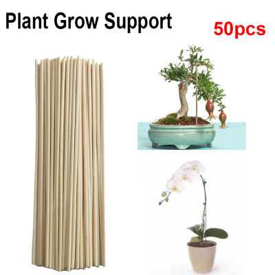 Paquete de 50 Varillas de Bambú para Soporte de Plantas, Varillas de Bambú para Flores, Soporte para Cañas