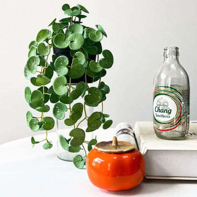Mini ramo hecho a mano de hojas de hiedra falsas, cobre Artificial realista, plantas de hierba, decoración de pared, colgante de pared suave, jardín