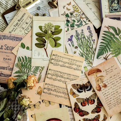30 Uds. Postales de espécimen de plantas y animales del bosque antiguo Retro, postales de felicitación grabables Vintage, Kit de Collage de pared, decoración del hogar