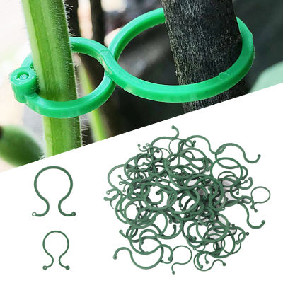 Clips de plástico para flejado de vid de jardín, accesorio de pared de ratán para plantas trepadoras, hebilla, gancho de vid de tomate, herramienta de soporte, 10/50/100 piezas