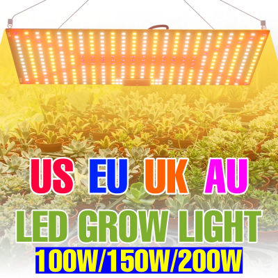 Luz LED de espectro completo para cultivo de plantas, tablero cuántico de 200W, lámpara UV para plántulas de flores de interior, invernadero hidropónico, cultivo de verduras