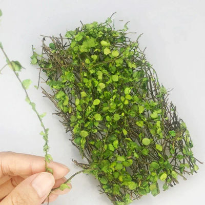 Enredaderas de plantas en miniatura, simulación de hojas de ratán, mesa de arena, vegetación, escena de jardín, Micro paisaje, accesorios de bricolaje, 1 caja