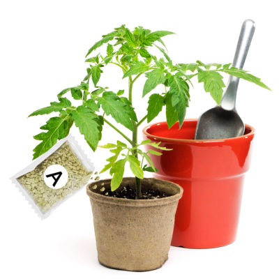 Fertilizante de jardín A+B Planta hidropónica concentrada Fácil de usar Promueve la eficiencia de absorción para verduras Flores Hierba