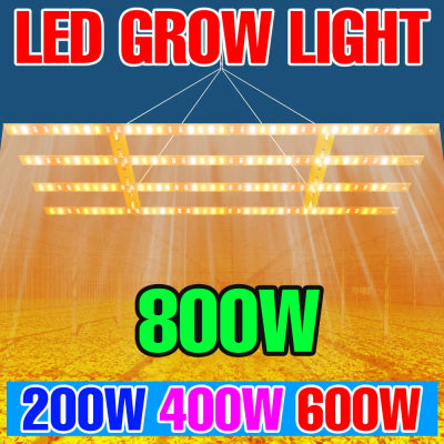 Luz LED de espectro completo para cultivo de plantas, tablero cuántico para plántulas de flores de interior, invernadero, cultivo hidropónico de verduras, lámpara UV, 800W