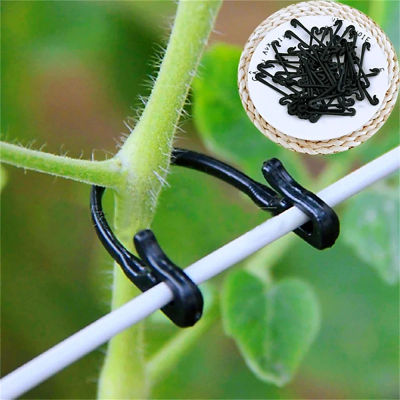 Ganchos de hebilla atados de plástico para sujetador de enredaderas, soporte de uva para jardinería, Clips de flejado de verduras, gancho de hebilla fija, soporte para plantas