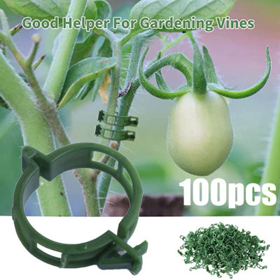 100 Uds. Clips de soporte para plantas, lazos de plástico, Clips de estaca de enrejado, soporte para invernadero de tomate vegetal para jardín, accesorios de herramientas de jardín