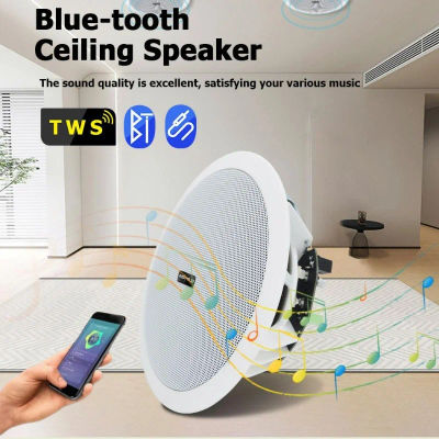 Altavoz Bluetooth para el Hogar y Comercial, Altavoz de Techo Activo y con Cable, Música de Fondo Estéreo para Cine en Casa, 10W